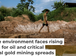 Open pit gold mines have spread across large areas of the Orinoco Mining Belt in recent years. Magda Gibelli / AFP via Getty Images